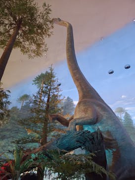 福井県立恐竜博物館に投稿された画像（2025/9/15）