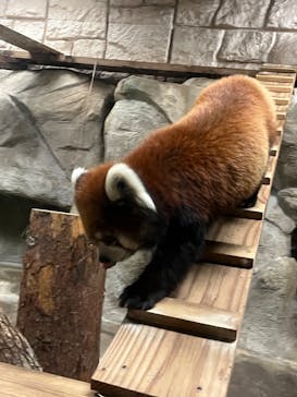 天王寺動物園に投稿された画像（2025/9/15）