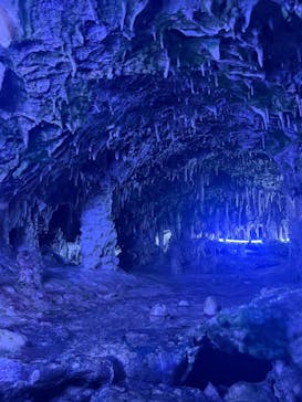 飛騨大鍾乳洞＆大橋コレクション館に投稿された画像（2025/9/15）