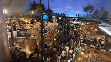 福井県立恐竜博物館に投稿された画像（2025/9/15）