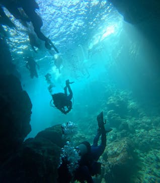 沖縄マリンサービス碧に投稿された画像（2025/9/15）