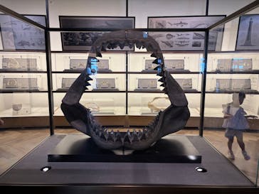 アクアワールド茨城県大洗水族館に投稿された画像（2025/9/15）