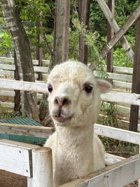 千葉市動物公園に投稿された画像（2025/9/15）