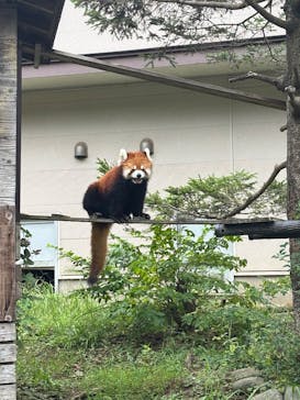 千葉市動物公園に投稿された画像（2025/9/15）