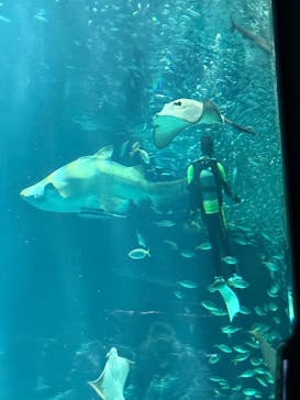 マリンワールド海の中道に投稿された画像（2025/9/15）