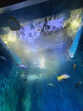 浜名湖体験学習施設ウォットに投稿された画像（2025/9/15）