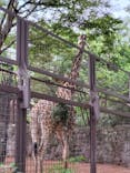 恩賜上野動物園に投稿された画像（2025/9/15）