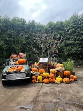 横浜イングリッシュガーデンに投稿された画像（2025/9/15）