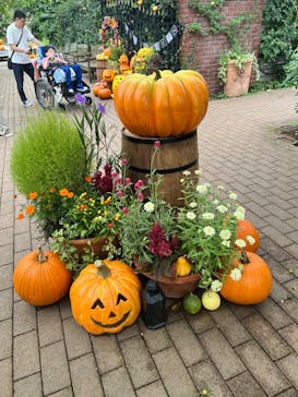 横浜イングリッシュガーデンに投稿された画像（2025/9/15）