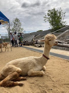 霞ケ浦 どうぶつとみんなのいえに投稿された画像（2025/9/15）