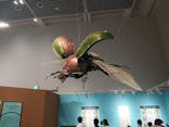 特別展 『昆虫 MANIAC』に投稿された画像（2025/9/15）