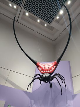 特別展 『昆虫 MANIAC』に投稿された画像（2025/9/15）