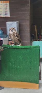 しろとり動物園に投稿された画像（2025/9/15）