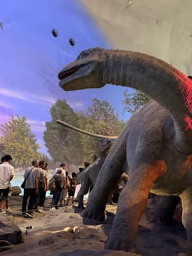 福井県立恐竜博物館に投稿された画像（2025/9/15）