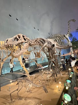 福井県立恐竜博物館に投稿された画像（2025/9/15）