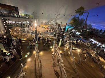 福井県立恐竜博物館に投稿された画像（2025/9/15）