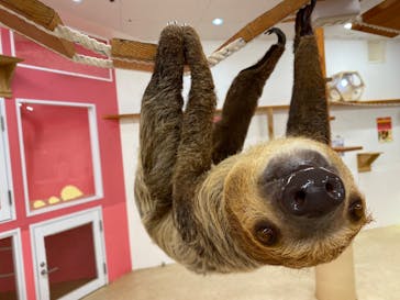 アニタッチ MARK IS 静岡に投稿された画像（2025/9/15）