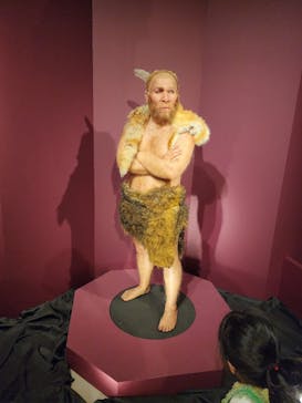 特別展「氷河期展 〜人類が見た4万年前の世界〜」（国立科学博物館）に投稿された画像（2025/9/15）