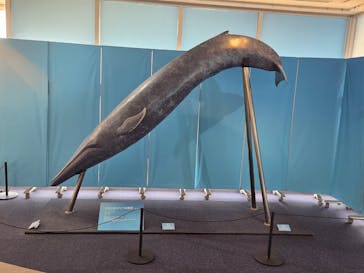 新江ノ島水族館に投稿された画像（2025/9/15）