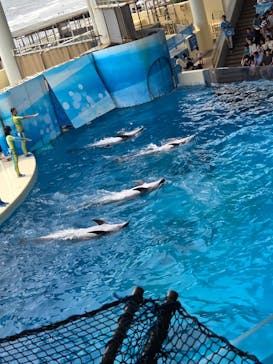 新江ノ島水族館に投稿された画像（2025/9/15）