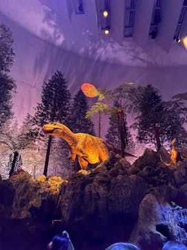 北九州市立自然史・歴史博物館（いのちのたび博物館）に投稿された画像（2025/9/15）