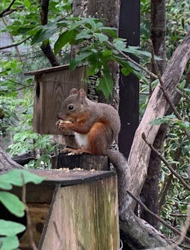 那須どうぶつ王国に投稿された画像（2025/9/15）