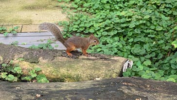 那須どうぶつ王国に投稿された画像（2025/9/15）