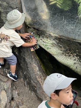 恩賜上野動物園に投稿された画像（2025/9/15）
