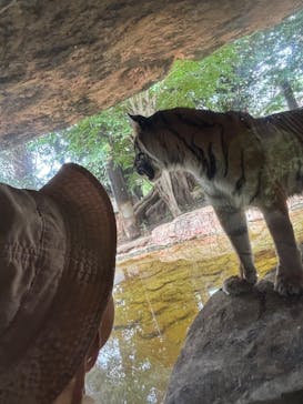 恩賜上野動物園に投稿された画像（2025/9/15）