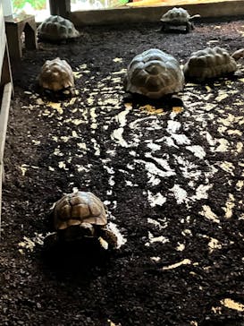 体感型動物園iZooに投稿された画像（2025/9/15）