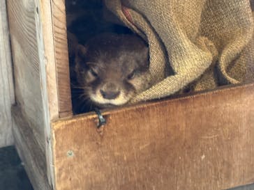 名古屋市東山動植物園に投稿された画像（2025/9/15）