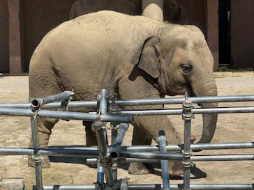 名古屋市東山動植物園に投稿された画像（2025/9/15）