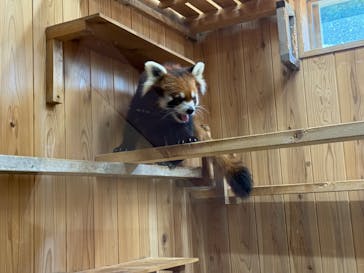 名古屋市東山動植物園に投稿された画像（2025/9/15）