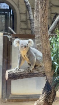名古屋市東山動植物園に投稿された画像（2025/9/15）