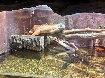 マクセル アクアパーク品川に投稿された画像（2025/9/15）