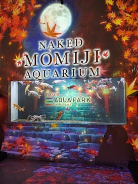 マクセル アクアパーク品川に投稿された画像（2025/9/15）