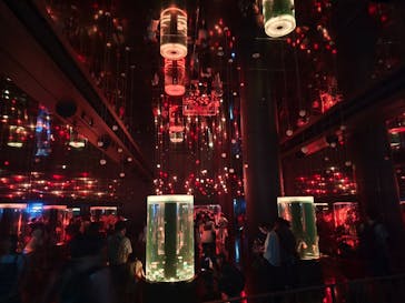 マクセル アクアパーク品川に投稿された画像（2025/9/15）