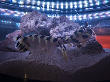 マクセル アクアパーク品川に投稿された画像（2025/9/15）