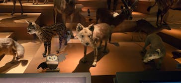 国立科学博物館に投稿された画像（2025/9/15）