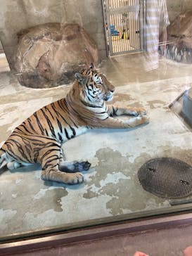 天王寺動物園に投稿された画像（2025/9/15）