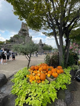 ひらかたパークに投稿された画像（2025/9/15）