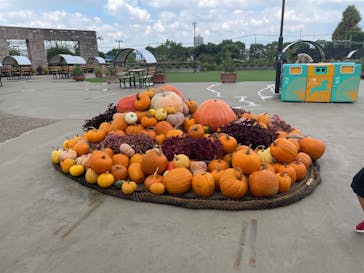 ひらかたパークに投稿された画像（2025/9/15）