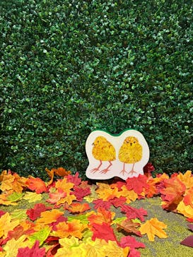 PLAY! PARK ERIC CARLEに投稿された画像（2025/9/15）