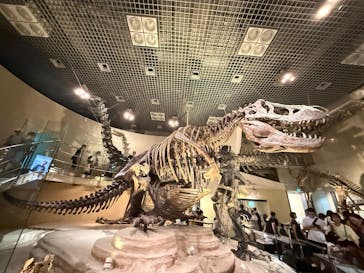 特別展「氷河期展 〜人類が見た4万年前の世界〜」（国立科学博物館）に投稿された画像（2025/9/15）