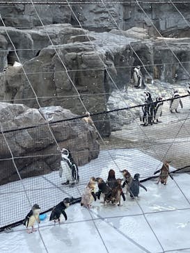 葛西臨海水族園に投稿された画像（2025/9/15）