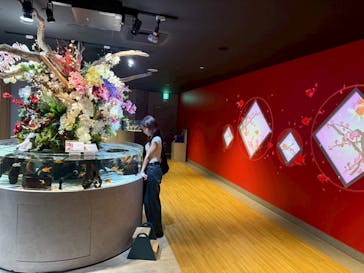 スマートアクアリウム静岡に投稿された画像（2025/9/15）