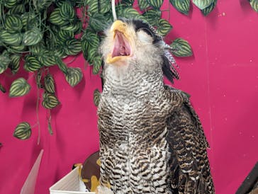 アニタッチ 東京ドームシティに投稿された画像（2025/9/15）