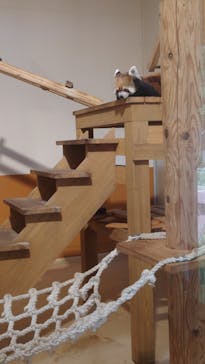 日立市かみね動物園に投稿された画像（2025/9/15）