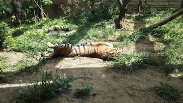 日立市かみね動物園に投稿された画像（2025/9/15）