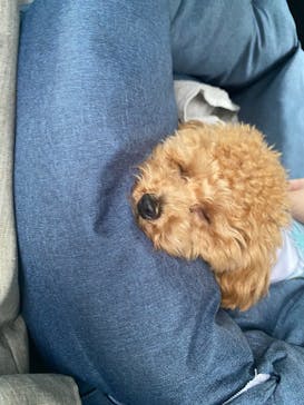 わんダフルネイチャーヴィレッジに投稿された画像（2025/9/15）